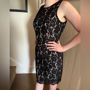 LBD White House Black Market